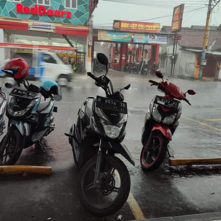 Album : Panen sayuran